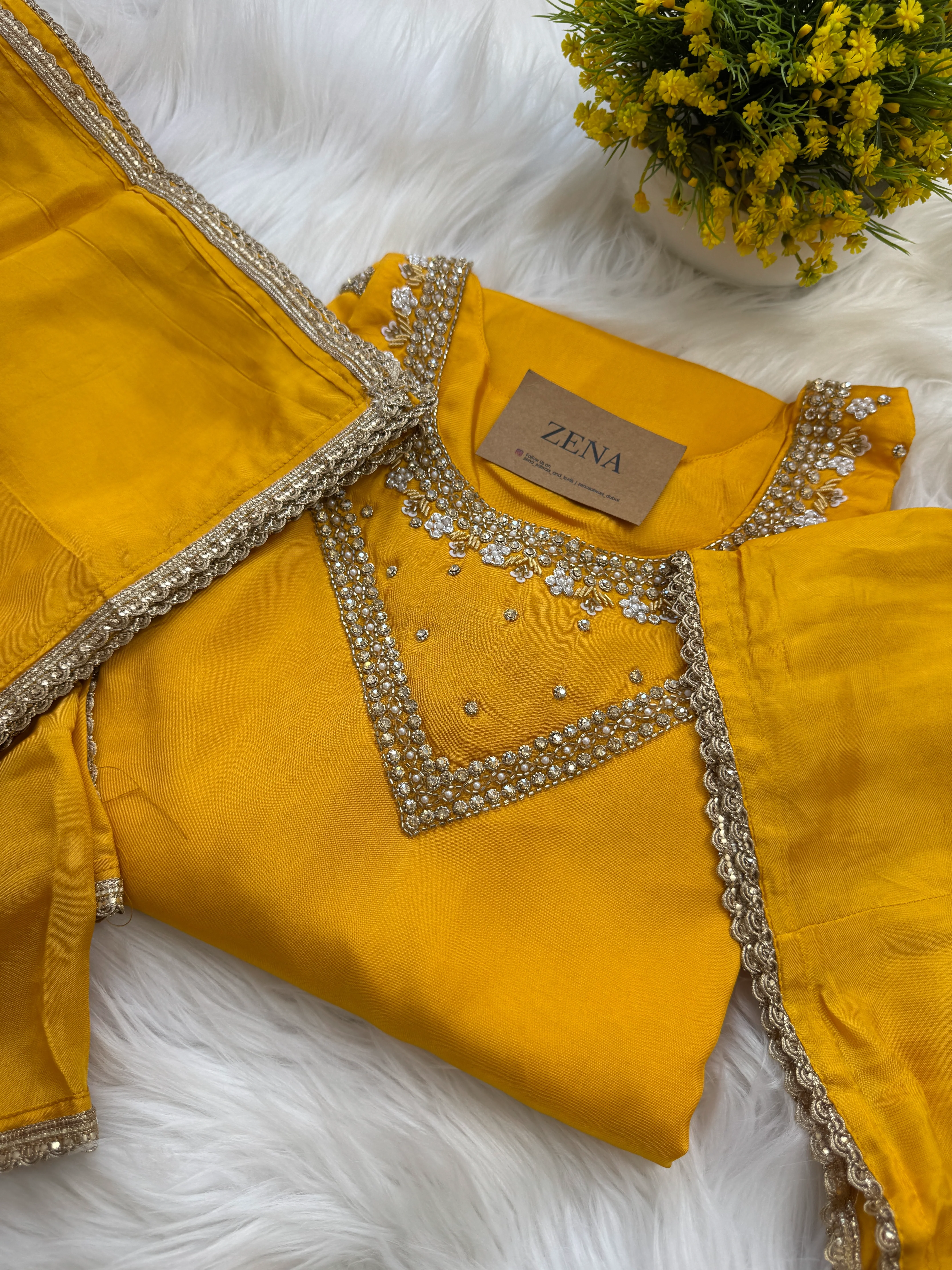 β¨ Organza Handwork Party Wear Set β¨