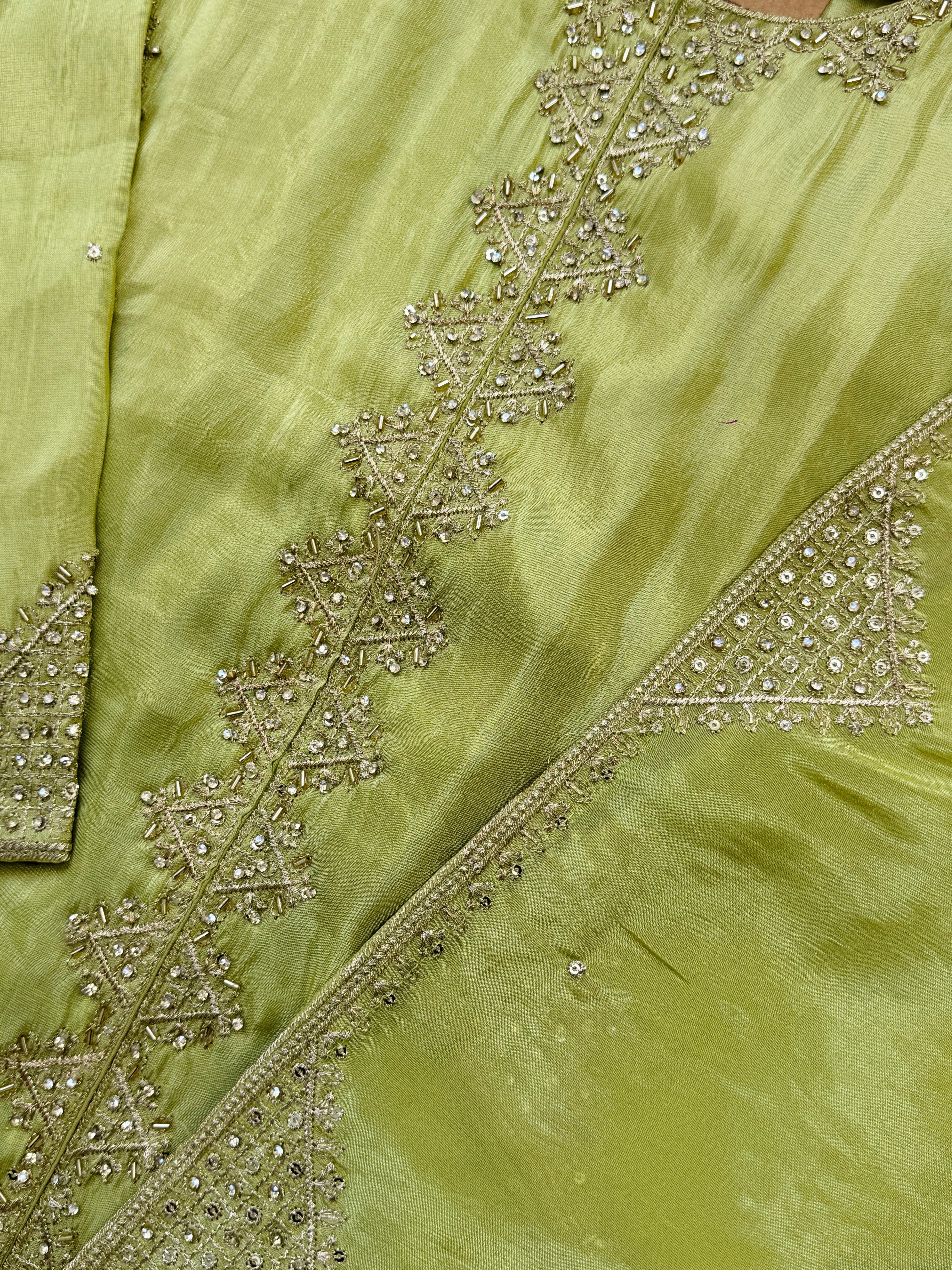 Tissue Silk Handwork Partywear Suit - Image 5